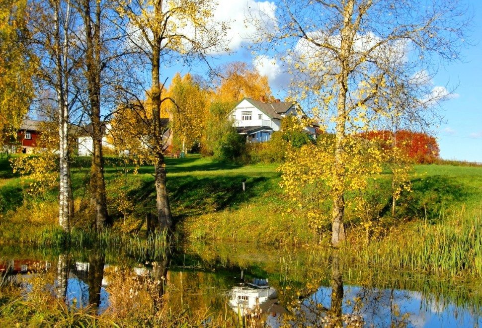 Bjørk gård med bjørketrær som speiler seg i vannet.