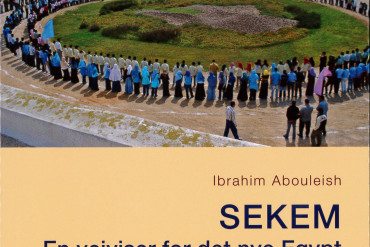 Forside av boken SEKEM. Mennesker i ring rundt en grønn plass.
