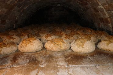 Nybakt brød
