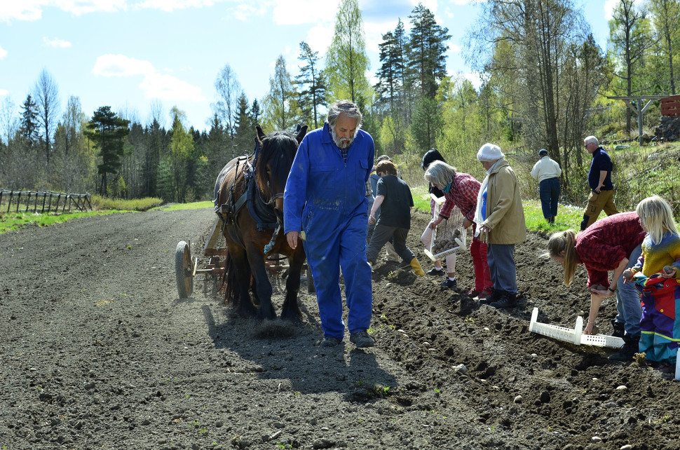 Mennesker og en hest på et jorde.