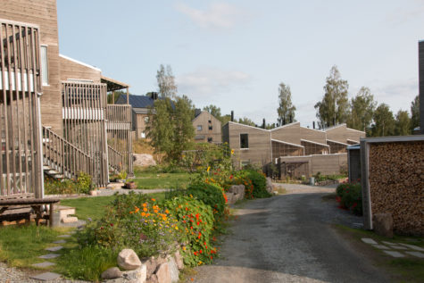 Rekke av boliger i en økolandsby i Hurdal