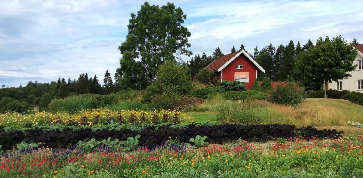 Natur og gårdsbygninger