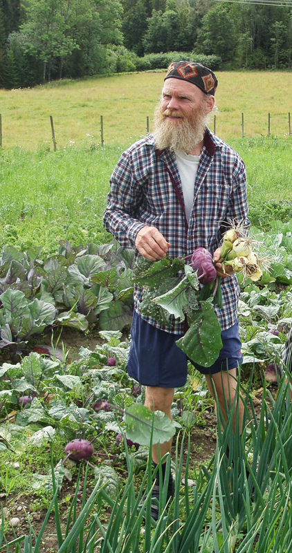 Mann henter grønnsaker fra dyrket mark.