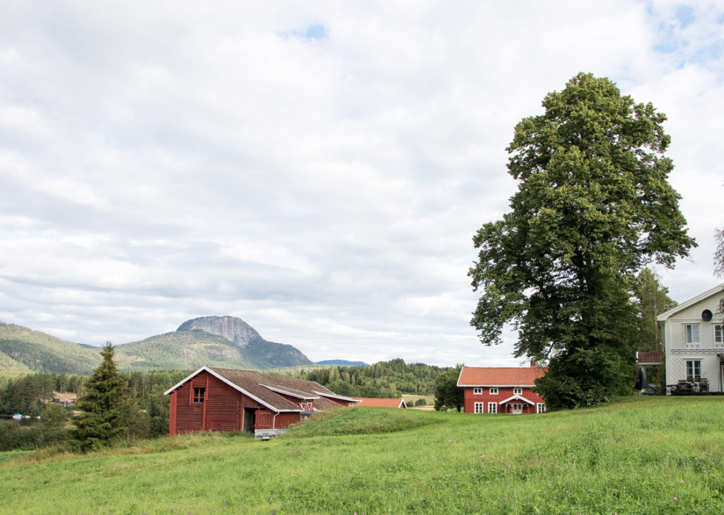 Gårdsområde i grønt landskap. Foto: Morten Årstad