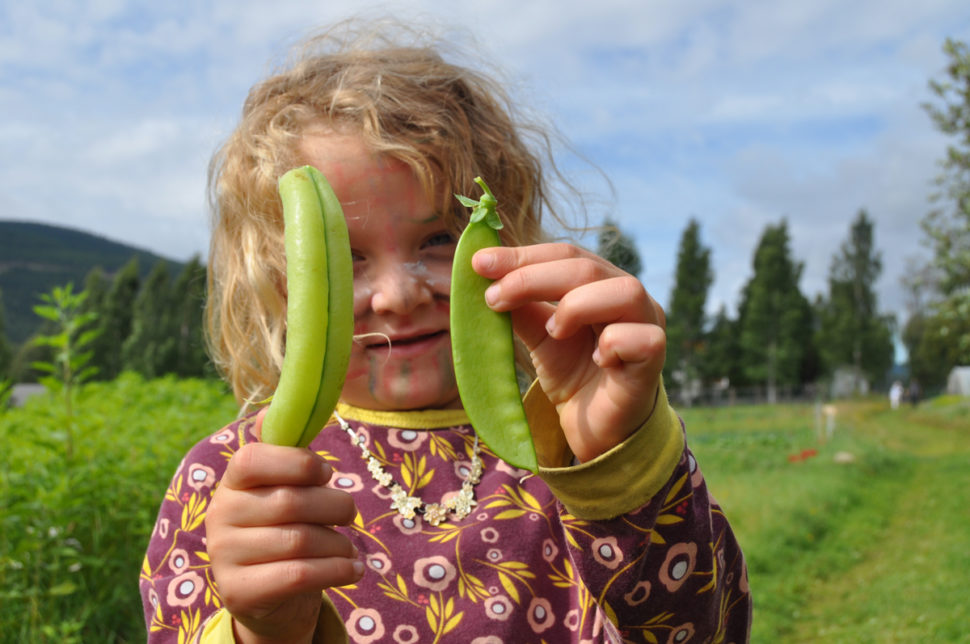 Barn viser frem sukkererter