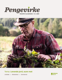 Pengevirke 2 / 2020-coverbilde