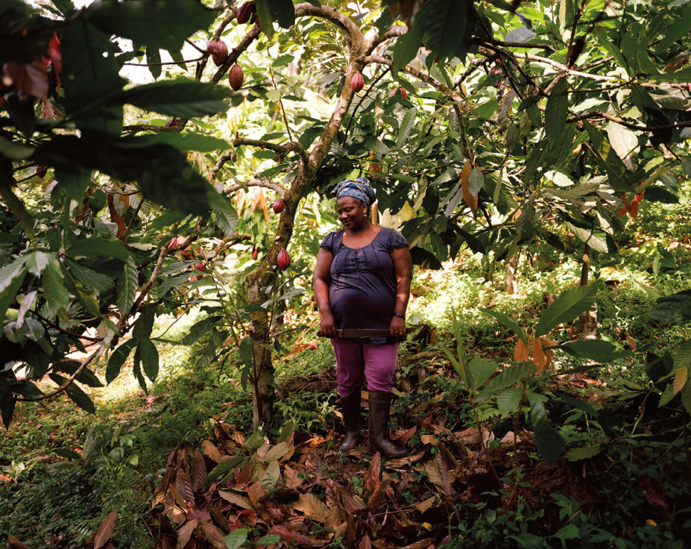 Kvinne ved trær i arbeid med kakaoproduksjon