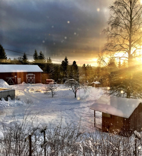 Norsk vinterlandskap på landet med gårdstun i lav sol