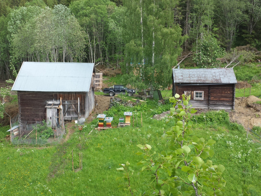 To små bygninger på gårdstun i skog