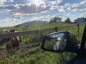 Utsikt fra bilvindu til norsk sommerlandskap. Bilens sidespeil nederst til høyre.