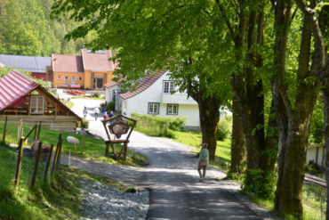 Gård i landlig sommerlandskap