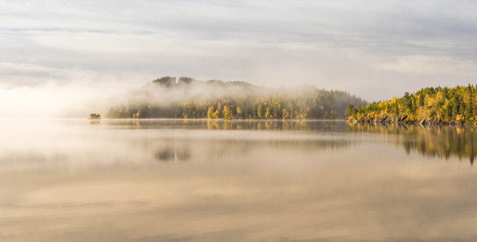 Blikkstille vann med delvis tåkedekket skog og delvis skyet himmel i baskgrunnen