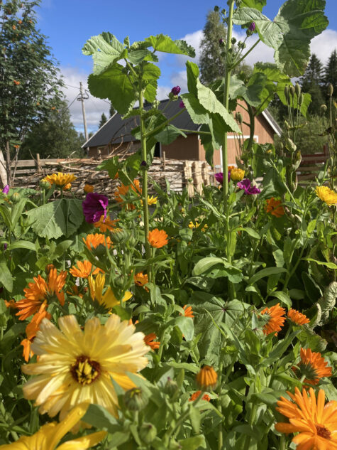 Blomster og grønne vekster