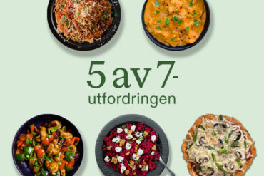 Fem matretter på runde tallerkener.