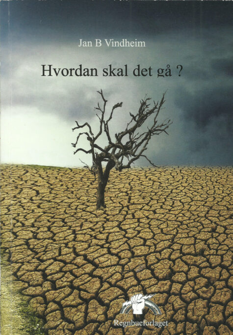 Omslag på boken Hvordan skal det gå? Vissent tre i uttørket jord.