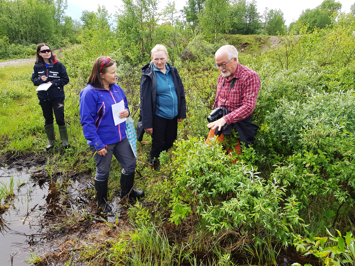 Mennesker i grønt område i myr.